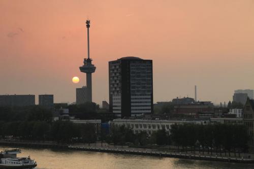 Rotterdam311