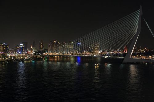 Rotterdam316